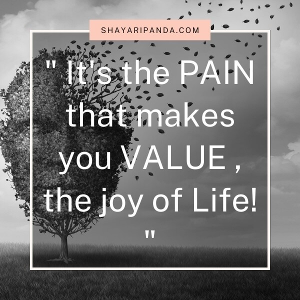 It's the PAIN that makes you VALUE the joy of Life!