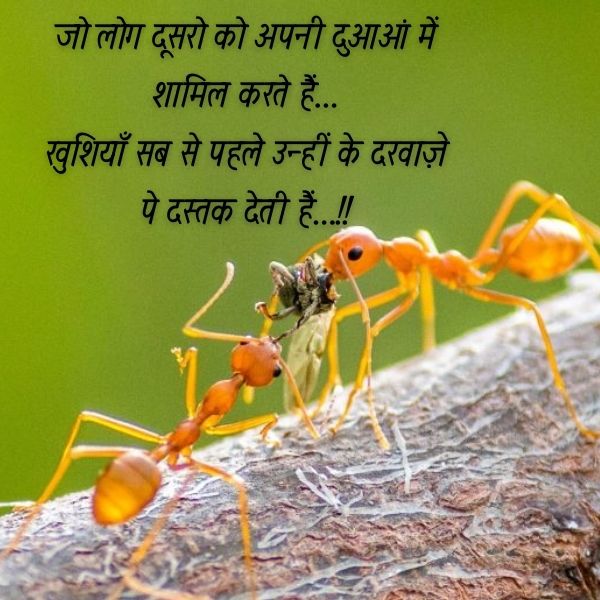 duva par shayari