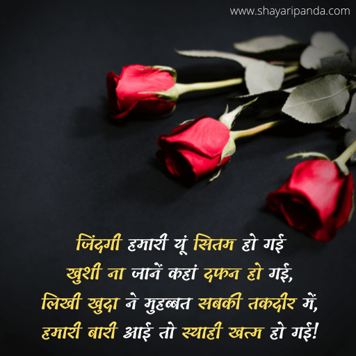 hamari jindgi